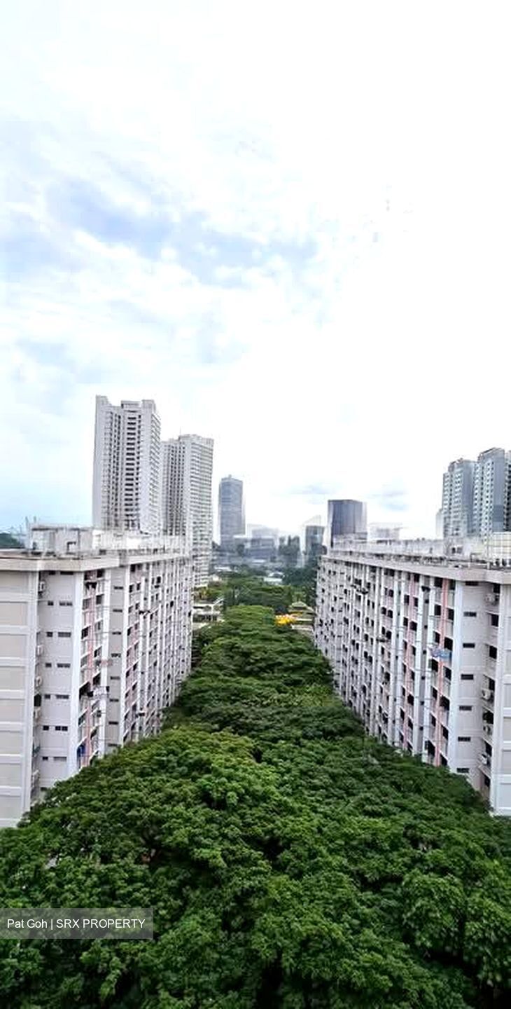 Blk 66 BLANGAH VIEW (Bukit Merah), HDB 5 Rooms #591366671